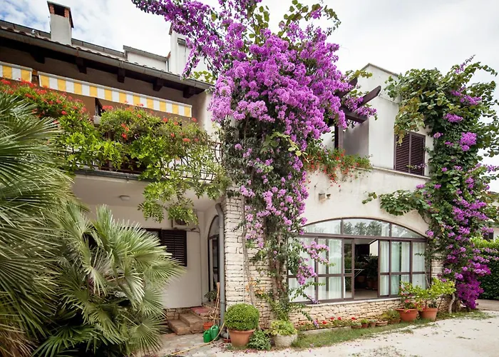 Zdenka Rovinj